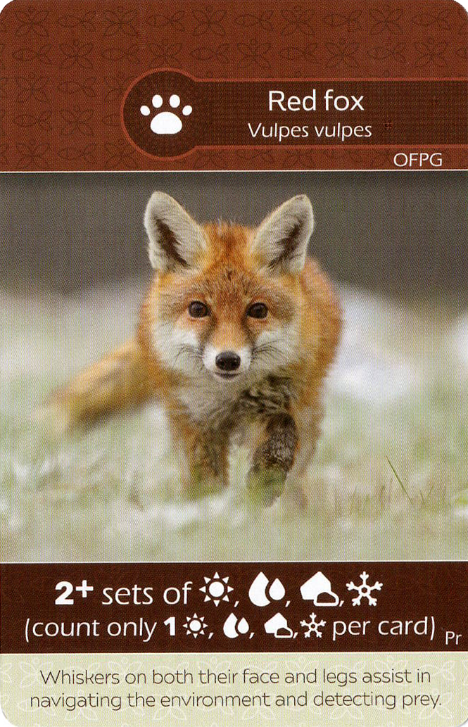 Earth: Red Fox / Badger Promo Card
