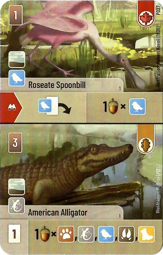Forest Shuffle: Dartmoor - Roseate Spoonbill / American Alligator Promo Card